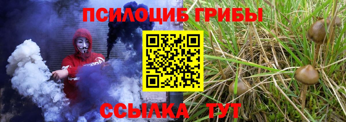 Красноармейск  Псилоцибиновые грибы ЛСД  Вход с VPN 